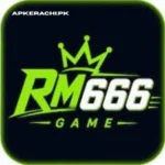 RM666