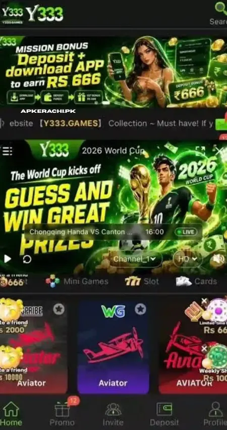 Y333 game